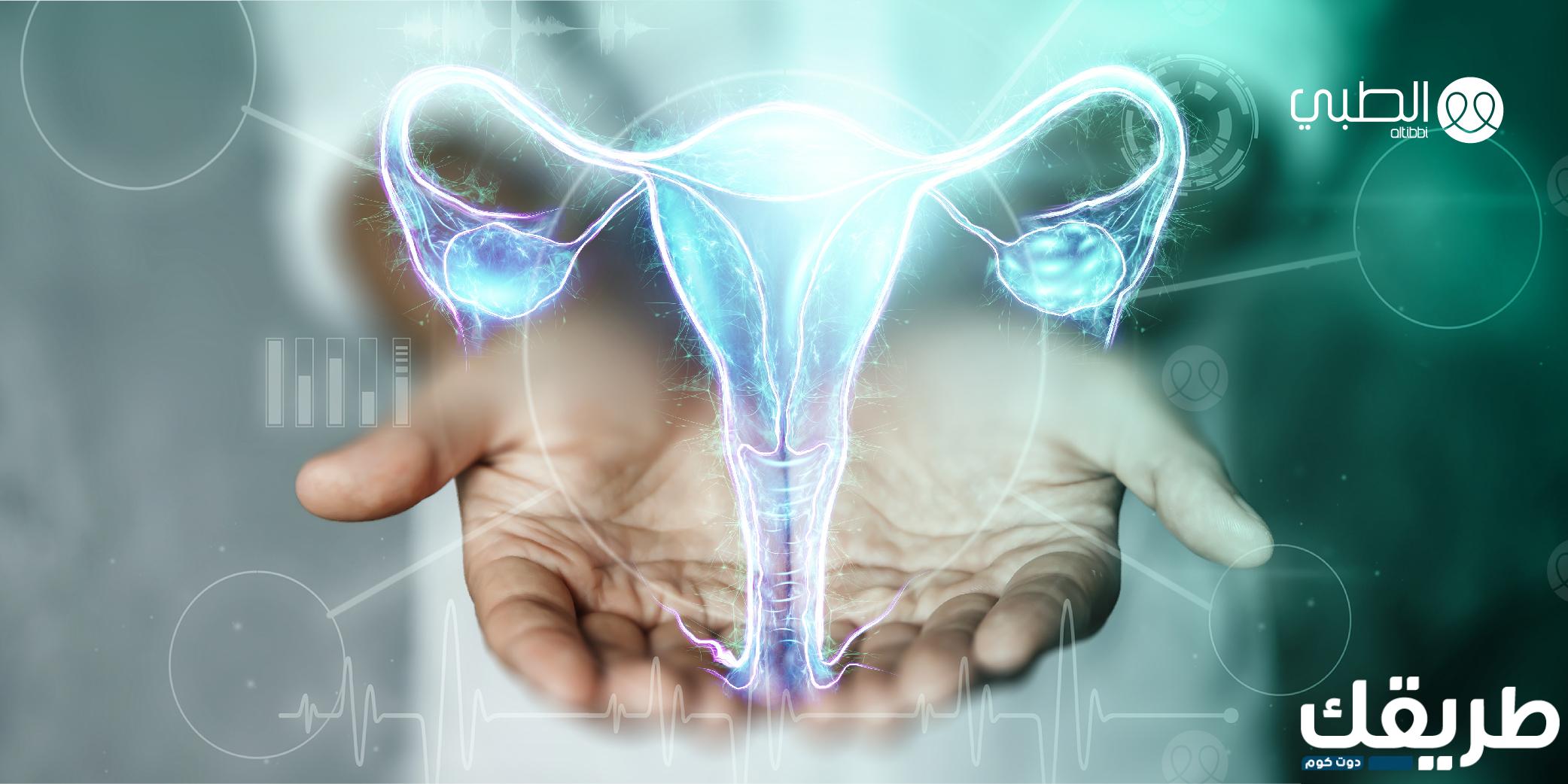 إفرازات بيضاء مثل الزبادي ما هى أسبابها ؟ تعرفي على أهم أنواع الإفرازات المهبلية 7 368907160700996