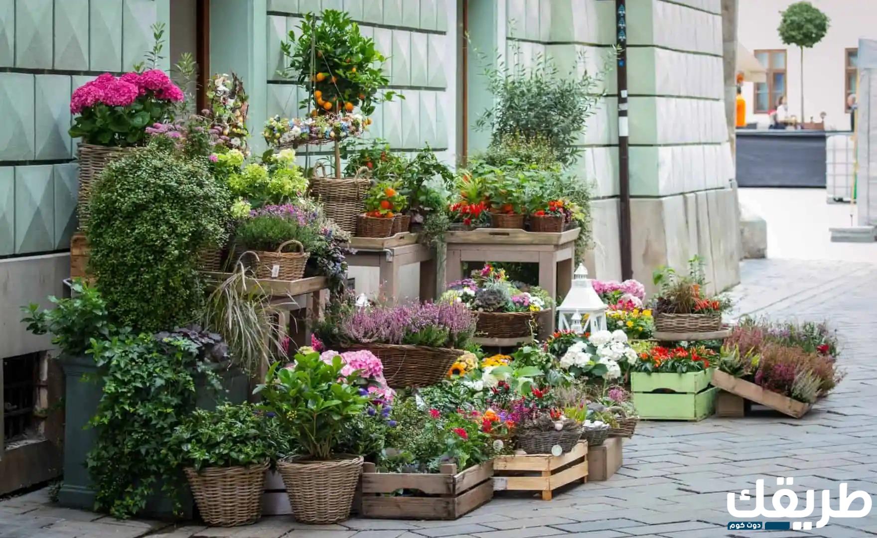 اقتراح اسماء محلات ورد في لبنان جديدة مميزة 2024 7 اقتراح اسماء محلات ورد في لبنان جديدة مميزة 2024