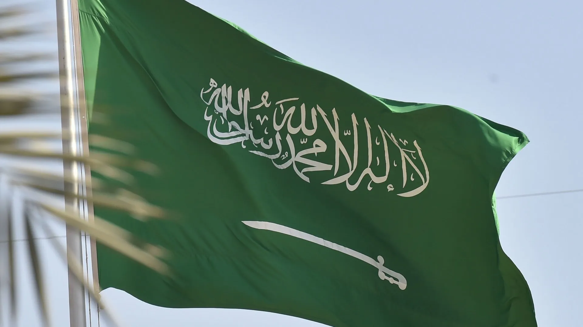 كيفية الاستعلام عن نطاق المؤسسة برقم الإقامة 1446 5 448687765279821