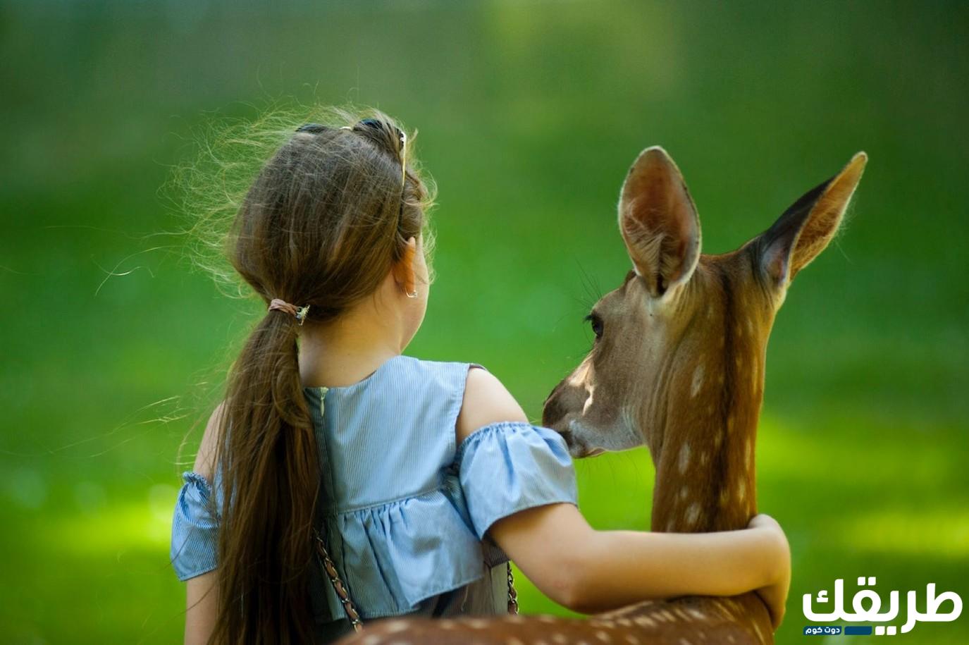 أسماء بنات بحرف الجيم ومعانيها 2024 أجمل الأسماء ومعانيها 2 473173182935105