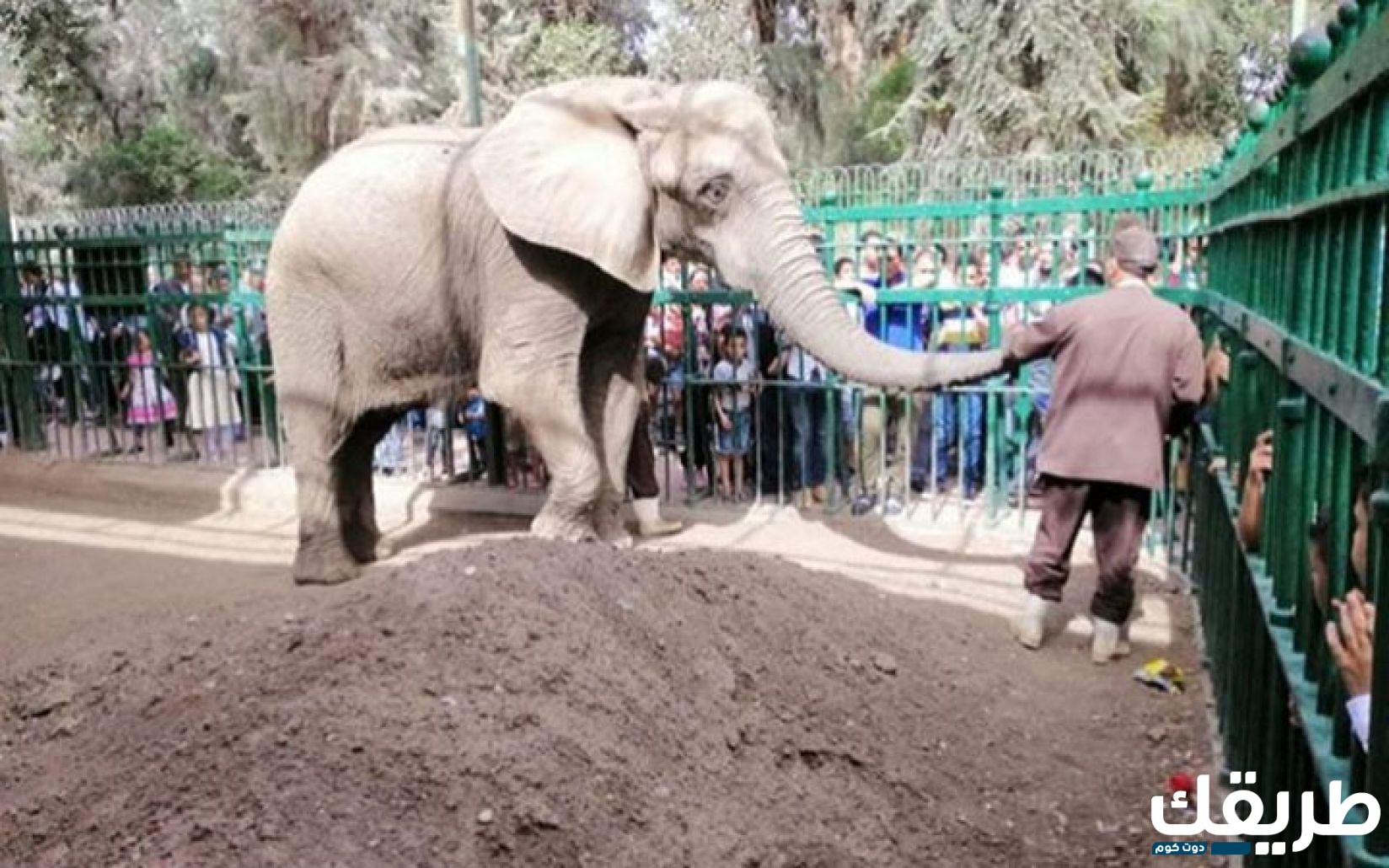 كيفية حجز تذاكر حديقة الحيوان المغلقة في جدة 1446 7 526096933890793