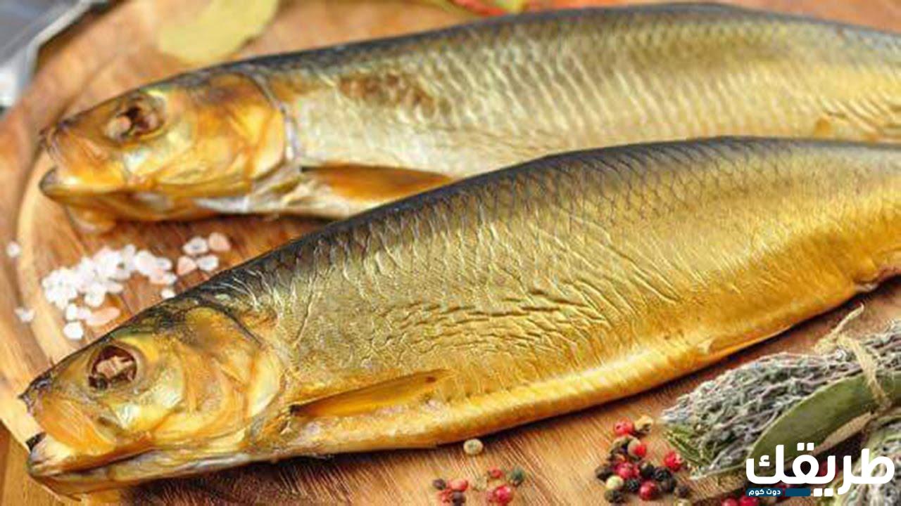 تفسير حلم سمك الرنجة في المنام 3 534829580519932