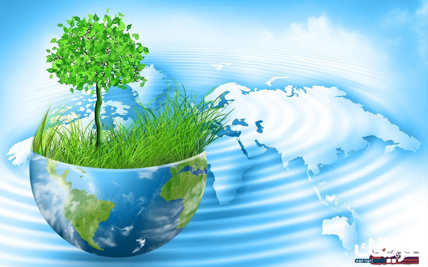 موضوع تعبير عن الماء وأهم مصادرها 7 540484489685559