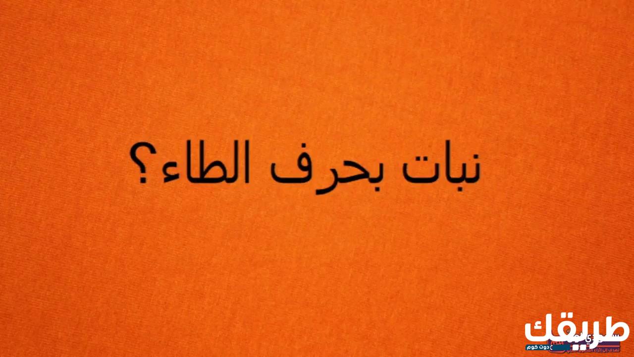 اسماء اولاد بحرف الطاء 2024 في القرآن الكريم مع تفسير المعنى 6 545092978609741