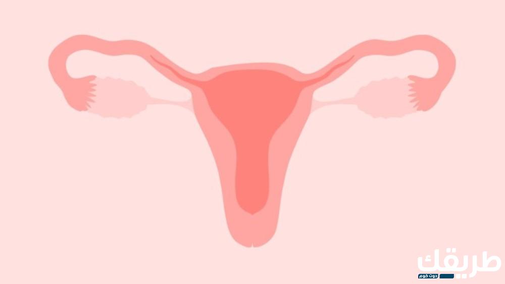 تجربتي مع تحاميل البوثيل لعلاج التهابات المهبل 1 561483304396696