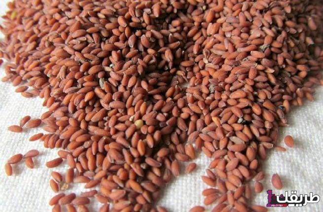 تجربتي مع جل حب الرشاد لتطويل الشعر وزيادة كثافته 6 6 80