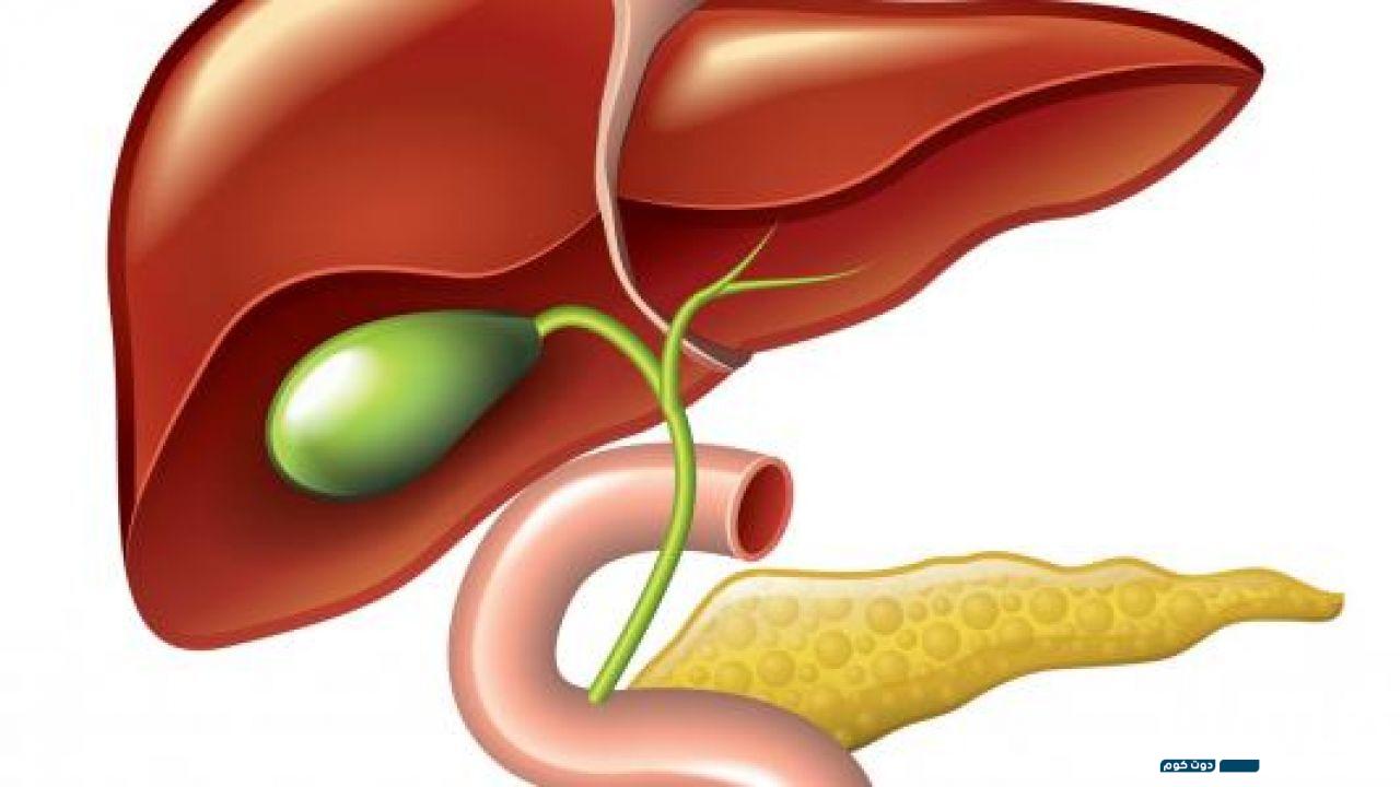 تجربتي في إزالة دهون الكبد وصفات ونصائح 6 610024651957579