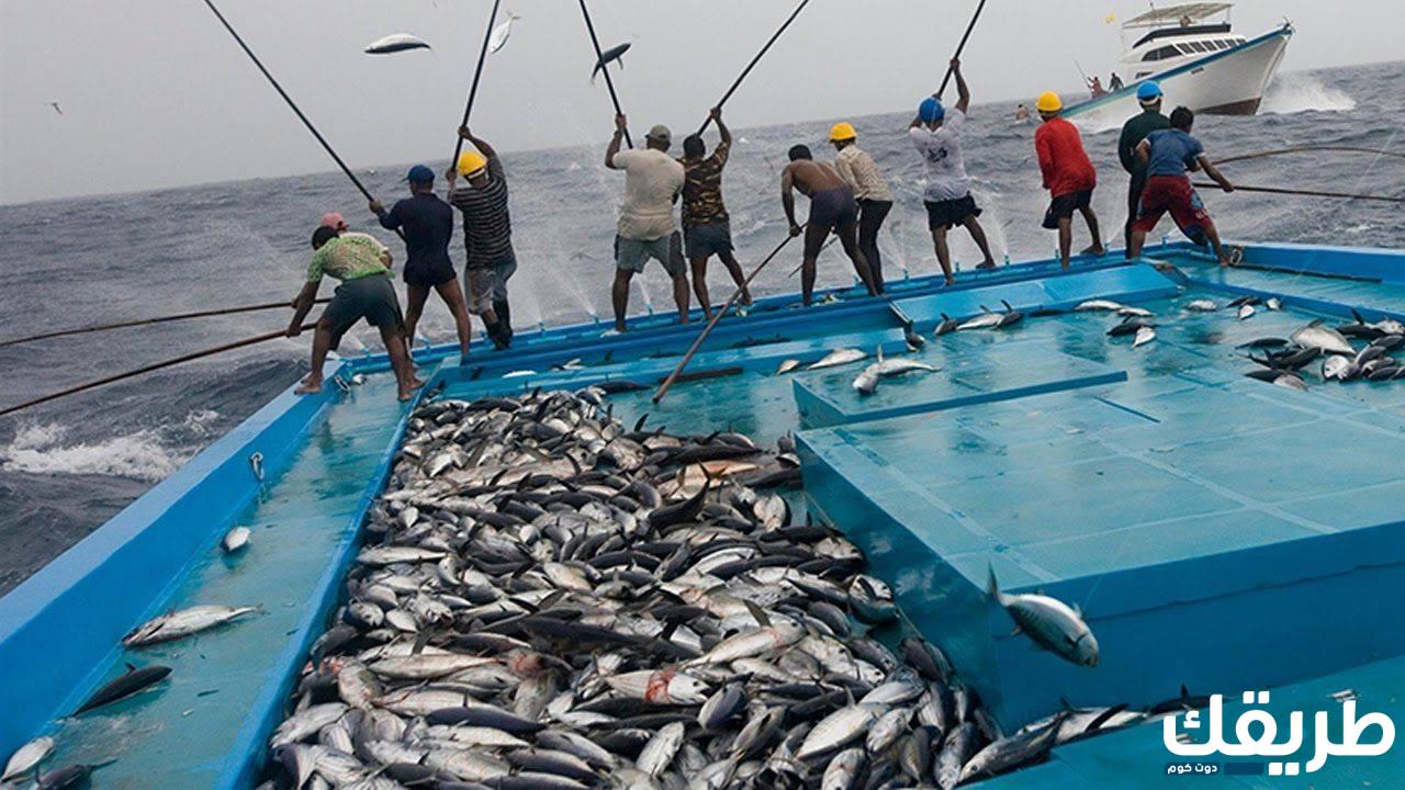 تفسير حلم شخص يعطيني سمك للعزباء والمتزوجة والحامل 3 642415891400134