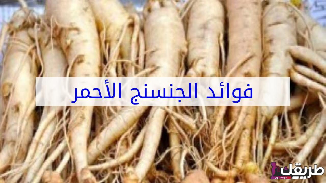 ما هى فوائد الجنسنج المذهلة وفيما يستعمل 5 666035353702867