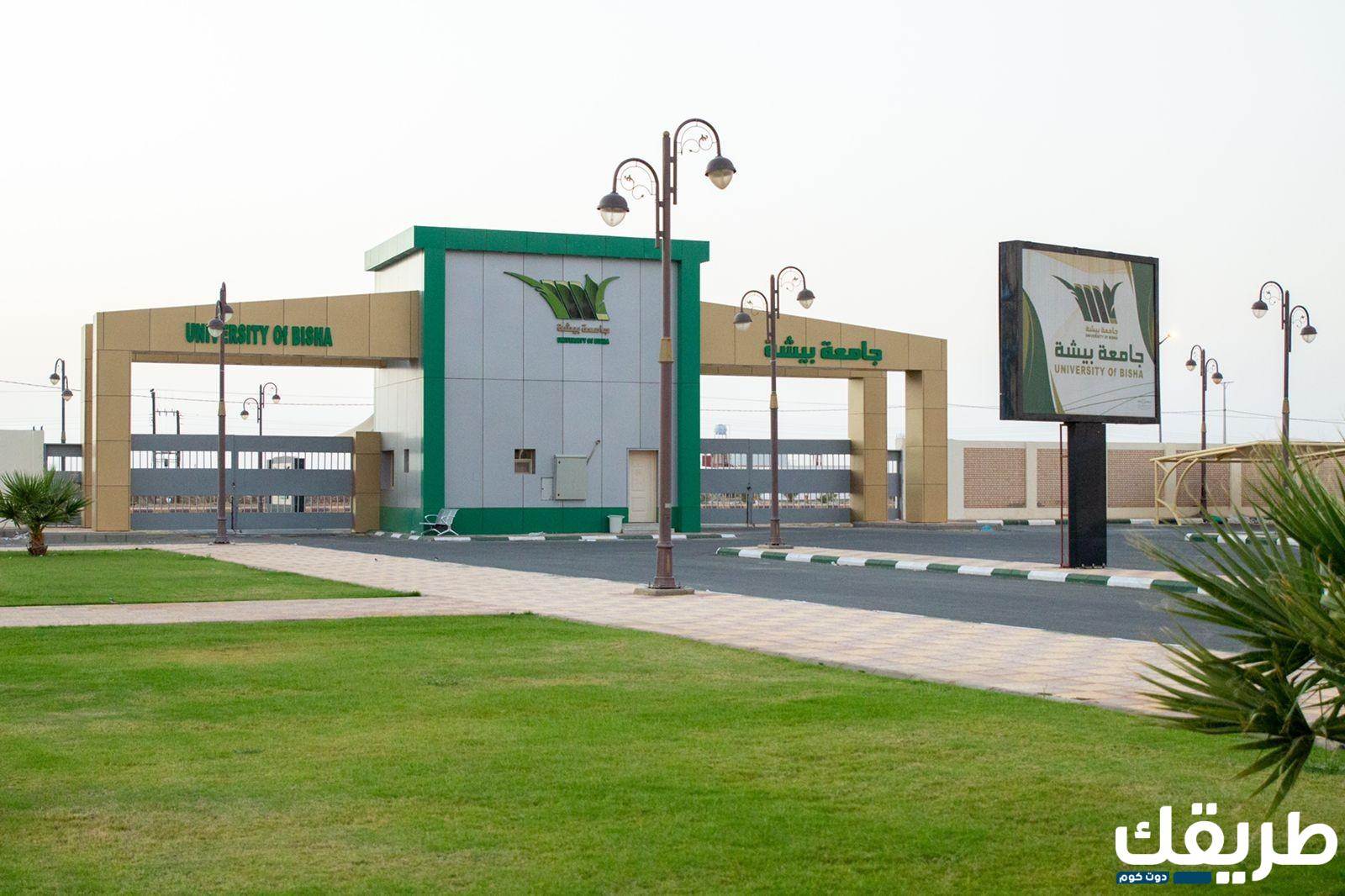 رابط الاستعلام عن نتائج قبول جامعة حائل 1445 3 676817109154780