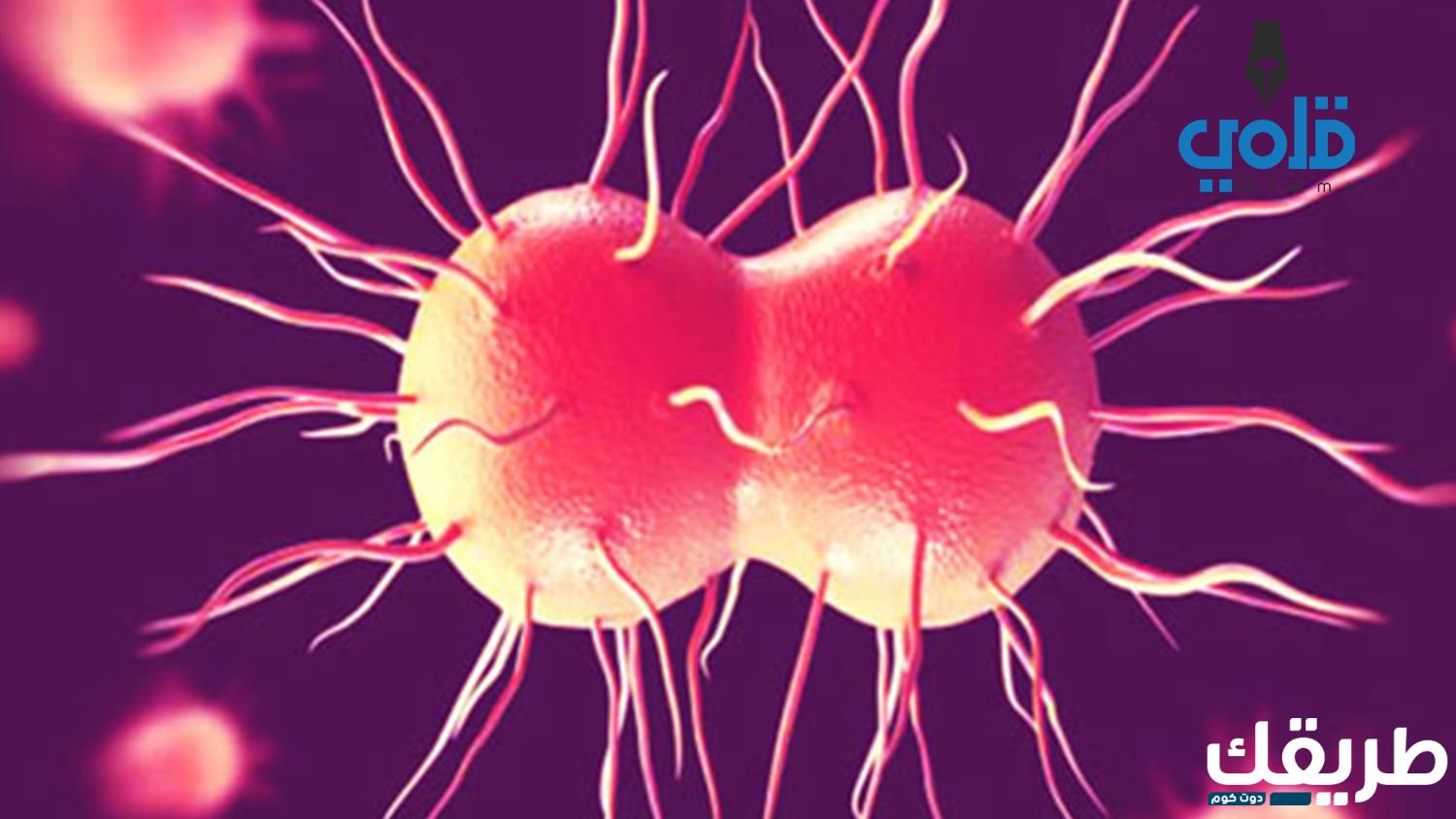 تجربتي مع مرض السيلان وأعراضه والمضاعفات التي تحدث 5 709105354200029