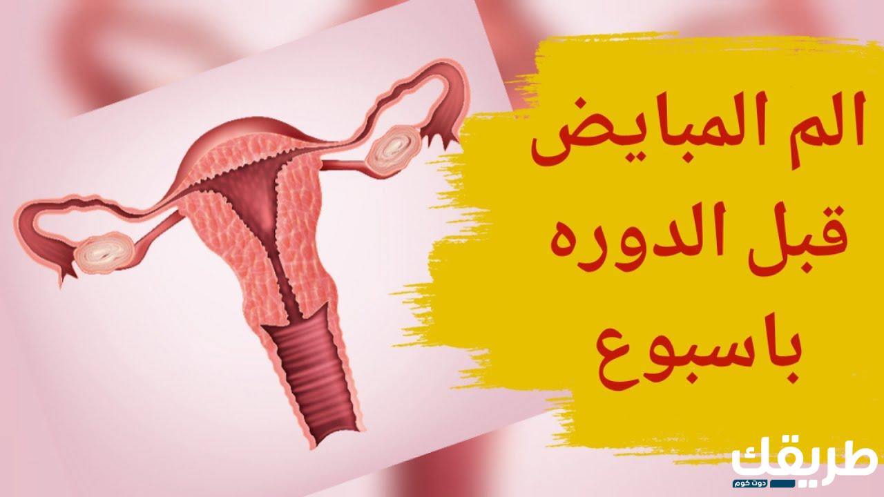 أسباب الم المبيض قبل الدوره بخمس ايام وطرق العلاج 4 719323271997904