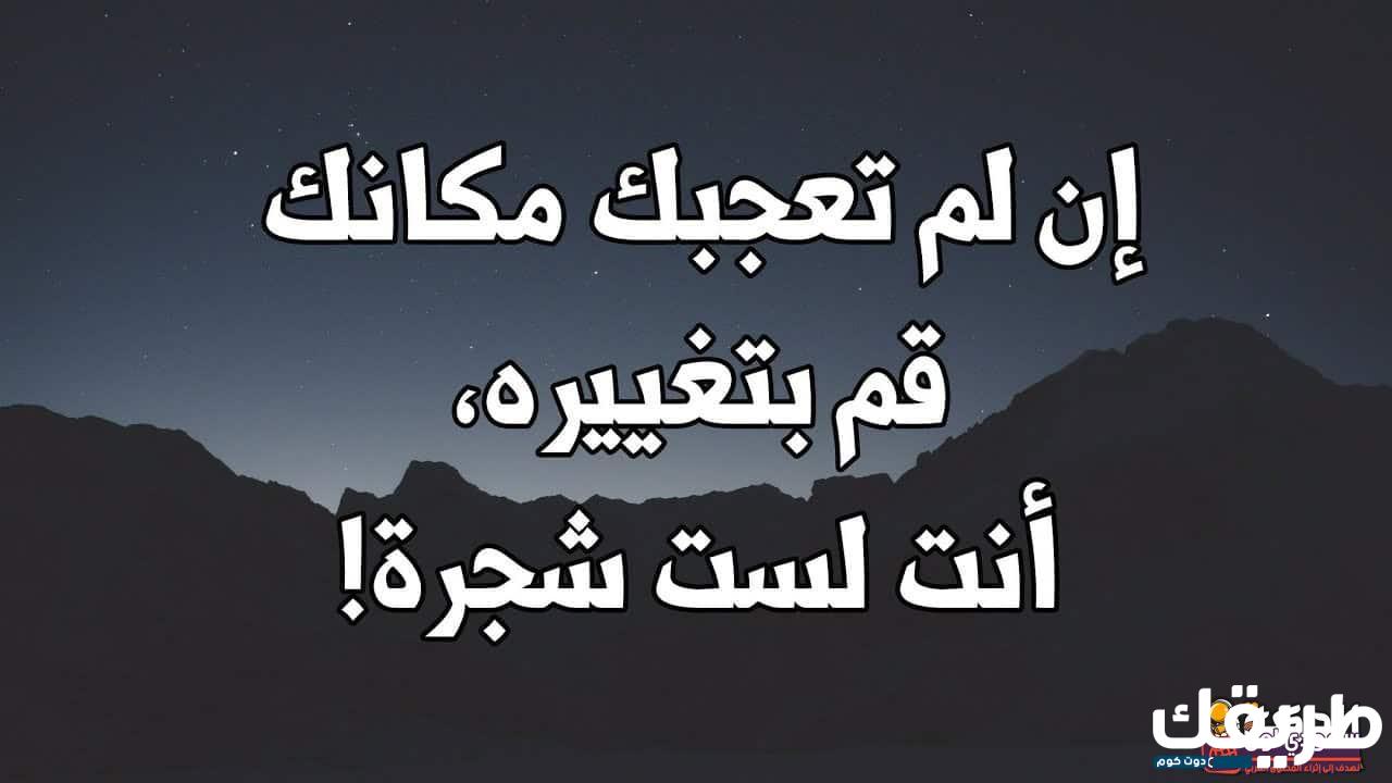 حكم جميلة عن الحياة جديدة مميزة لعام 2024 تشعرك بالسعادة 1 788280421267666