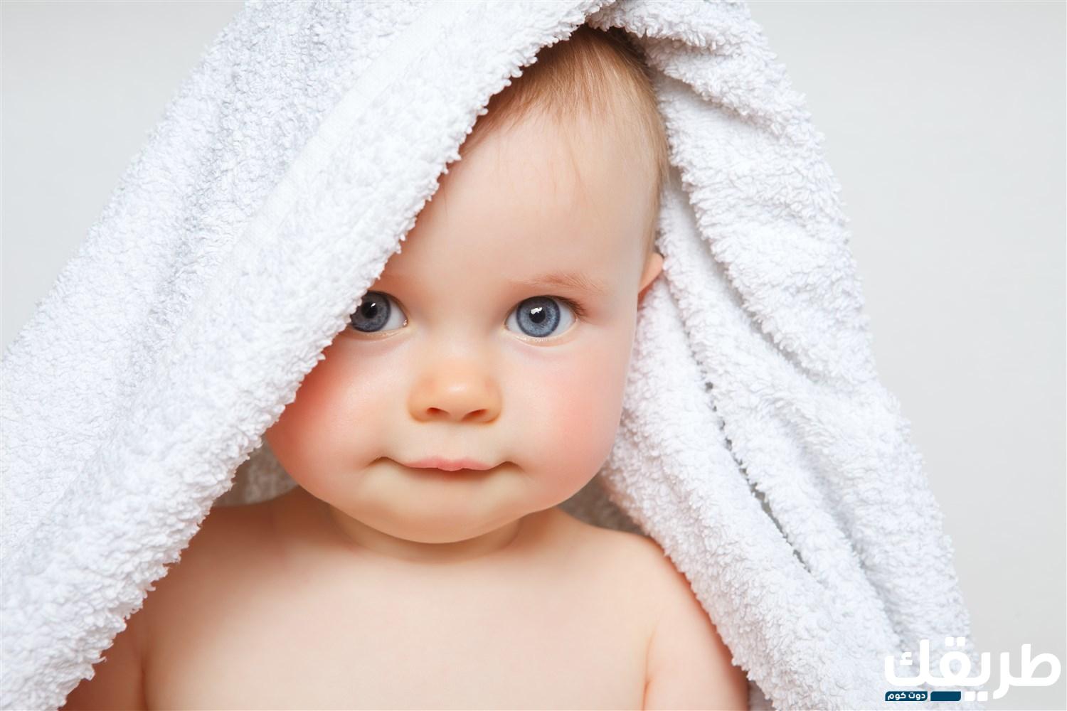 معنى وتوضيح وتفسير اسم ذات فى المعجم العربي 2 80211475669522