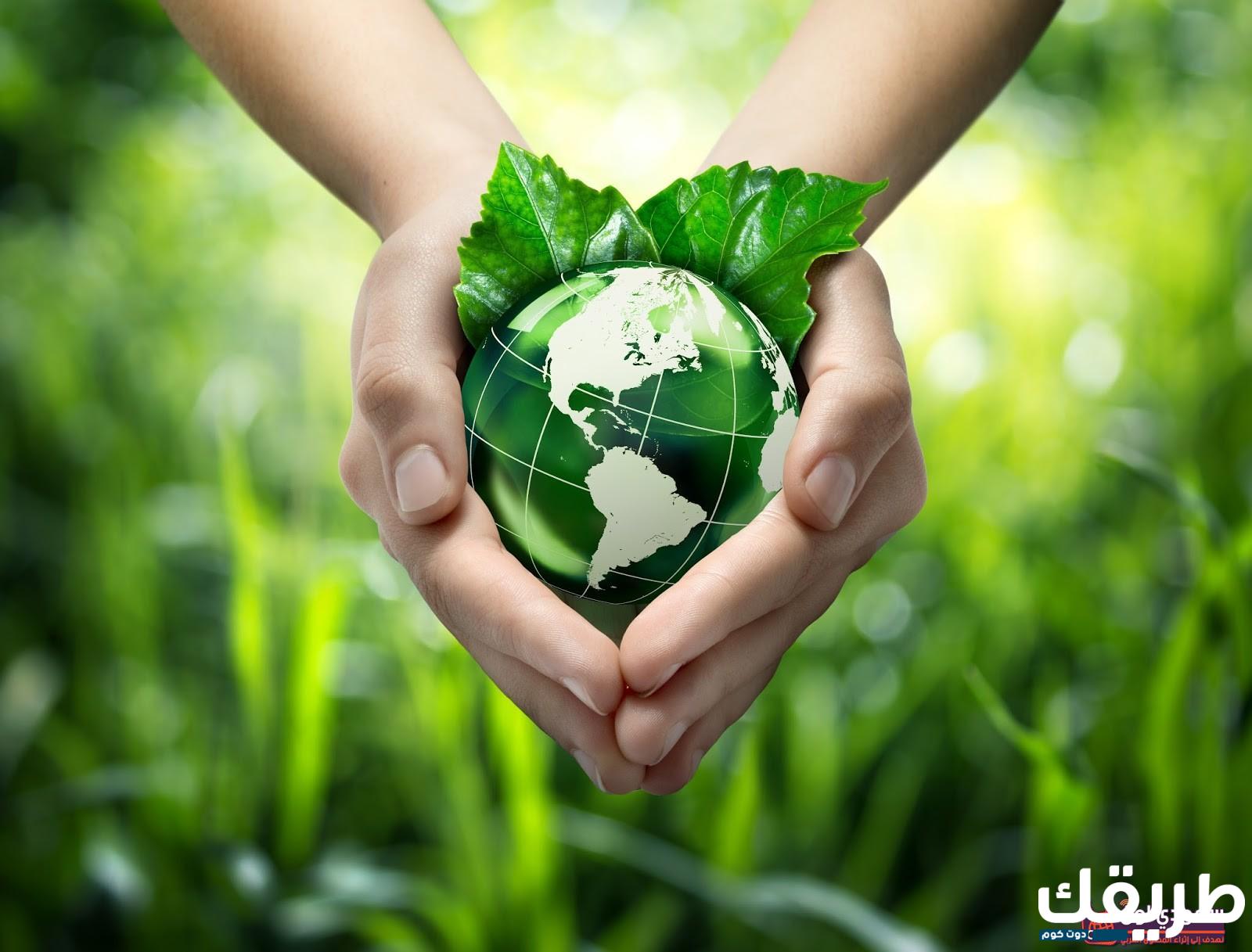 موضوع تعبير عن البيئة الساحلية 2 816521252552396