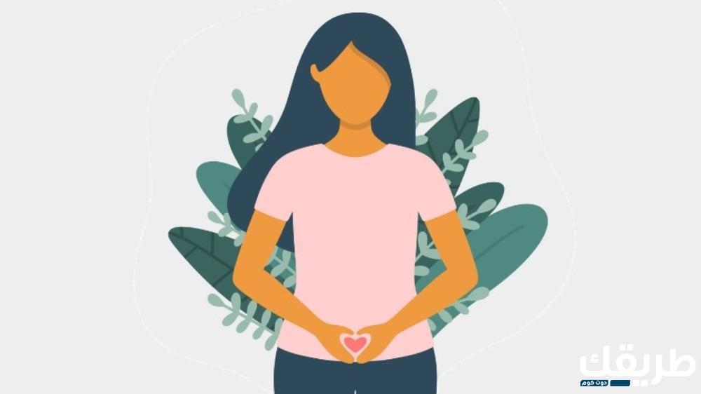 تجربتي مع لصقات منع الحمل وأضرارها ومميزاتها وعيوبها 4 823183824467968