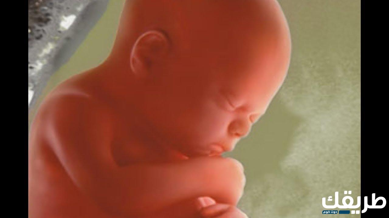 تجربتي في زيادة ماء الجنين في الشهر السابع 2 823288466020108