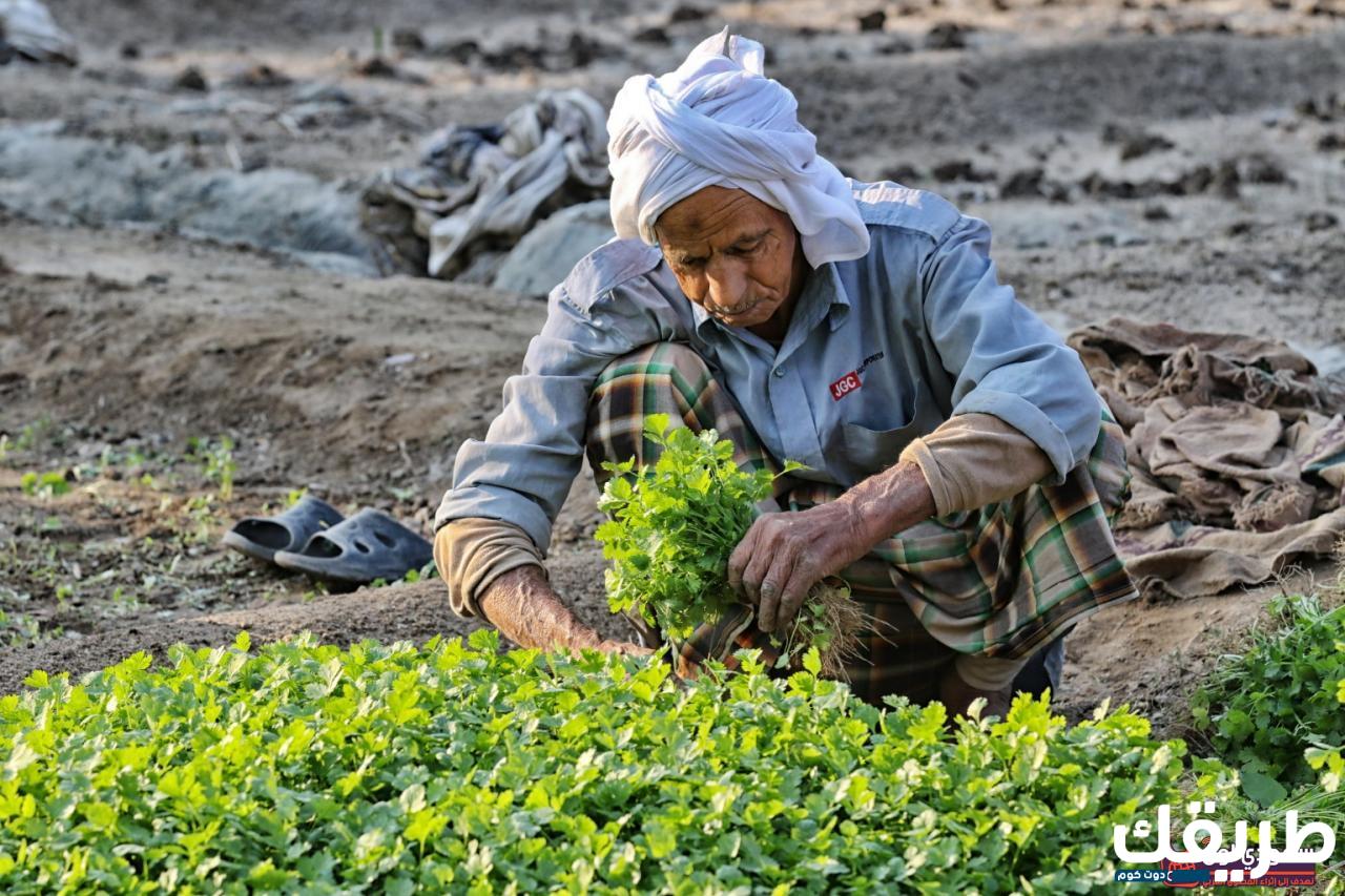 موضوع تعبير عن الزراعة والفلاح وأهميتها في حياتنا 2 837419106237568