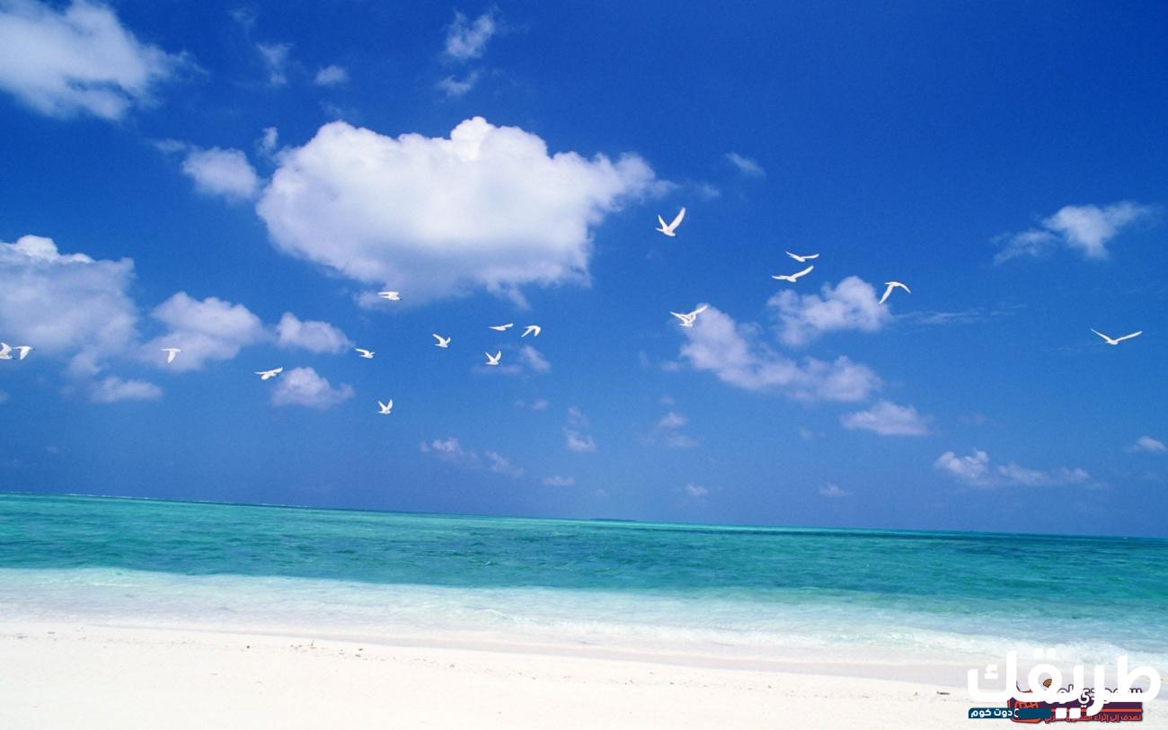 موضوع تعبير عن الصيف وجمال الطبيعة خلاله 4 838502877973658