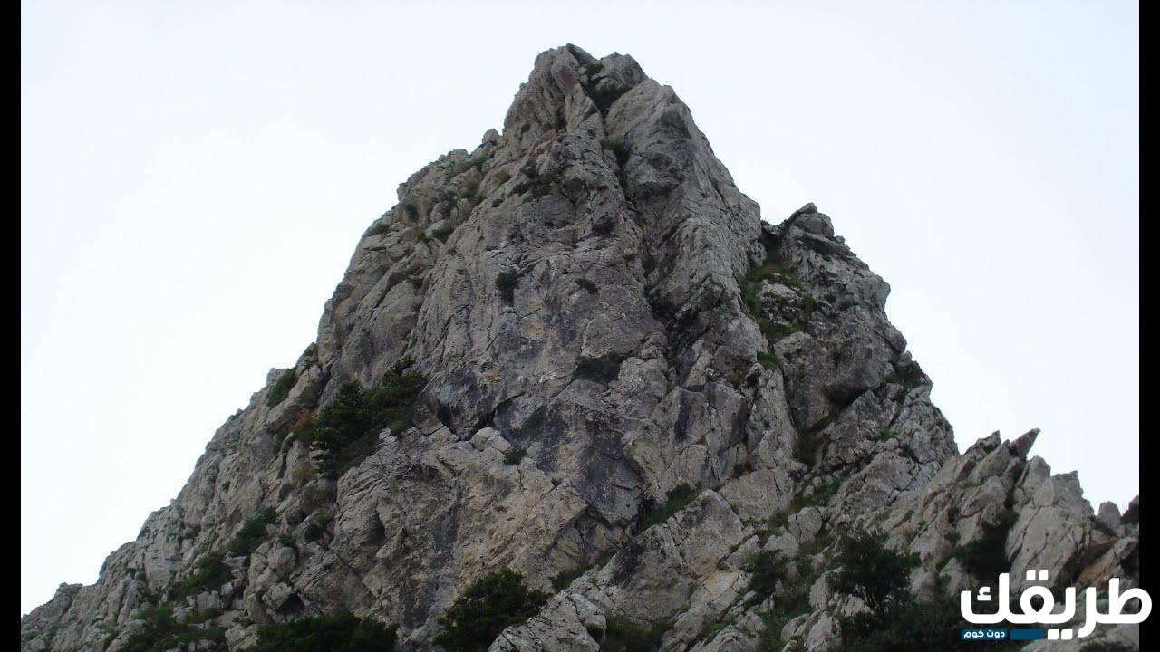 تفسير حلم صعود الجبل مع شخص للعزباء والمتزوجة والمطلقة 7 865951265333738