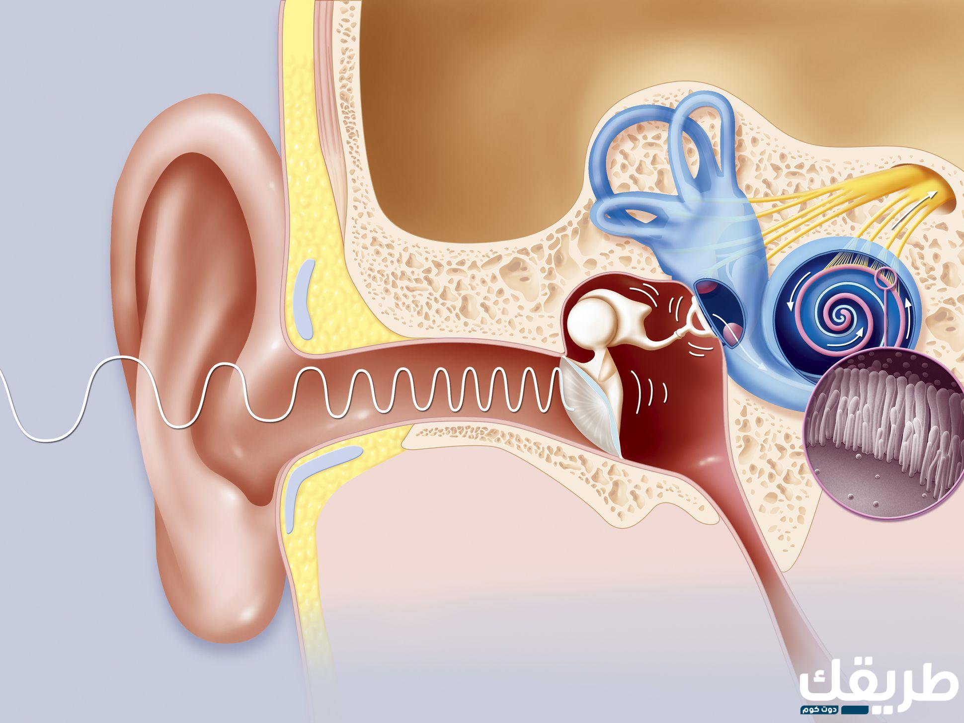 تجربتي مع انسداد قناة استاكيوس 2 922358752041828