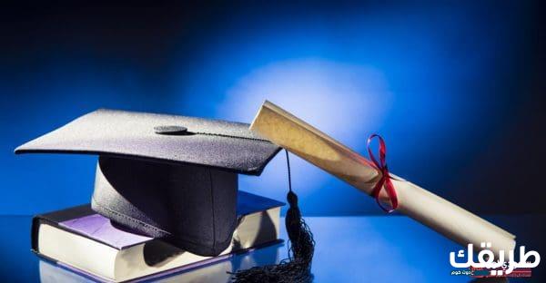 رواتب خريجي كلية الزراعة 2024 والوظائف المتاحة لهم 20 937789346379577
