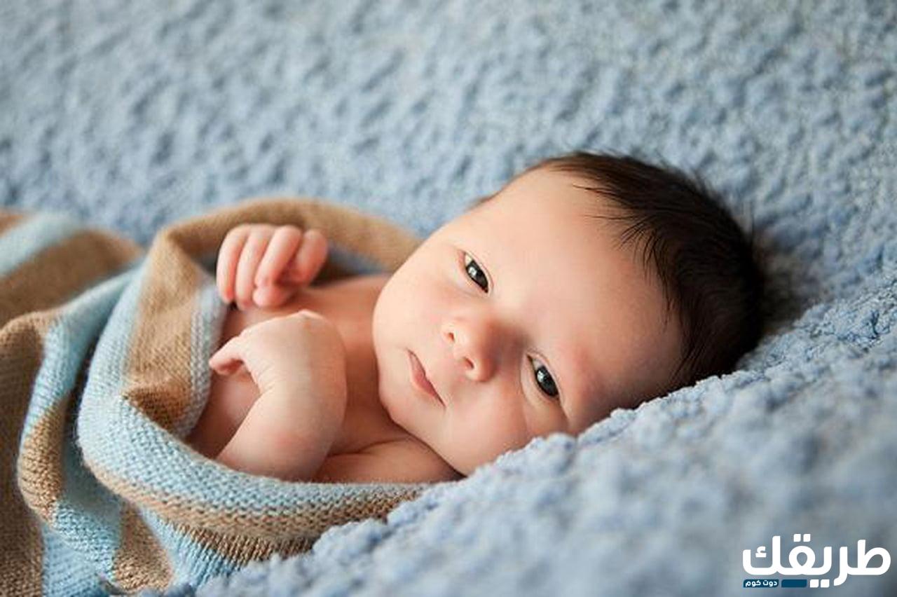 أسماء بنات بحرف اللام إسلامية ومسيحية 2024 أجمل الأسماء ومعانيها 7 978087094316731