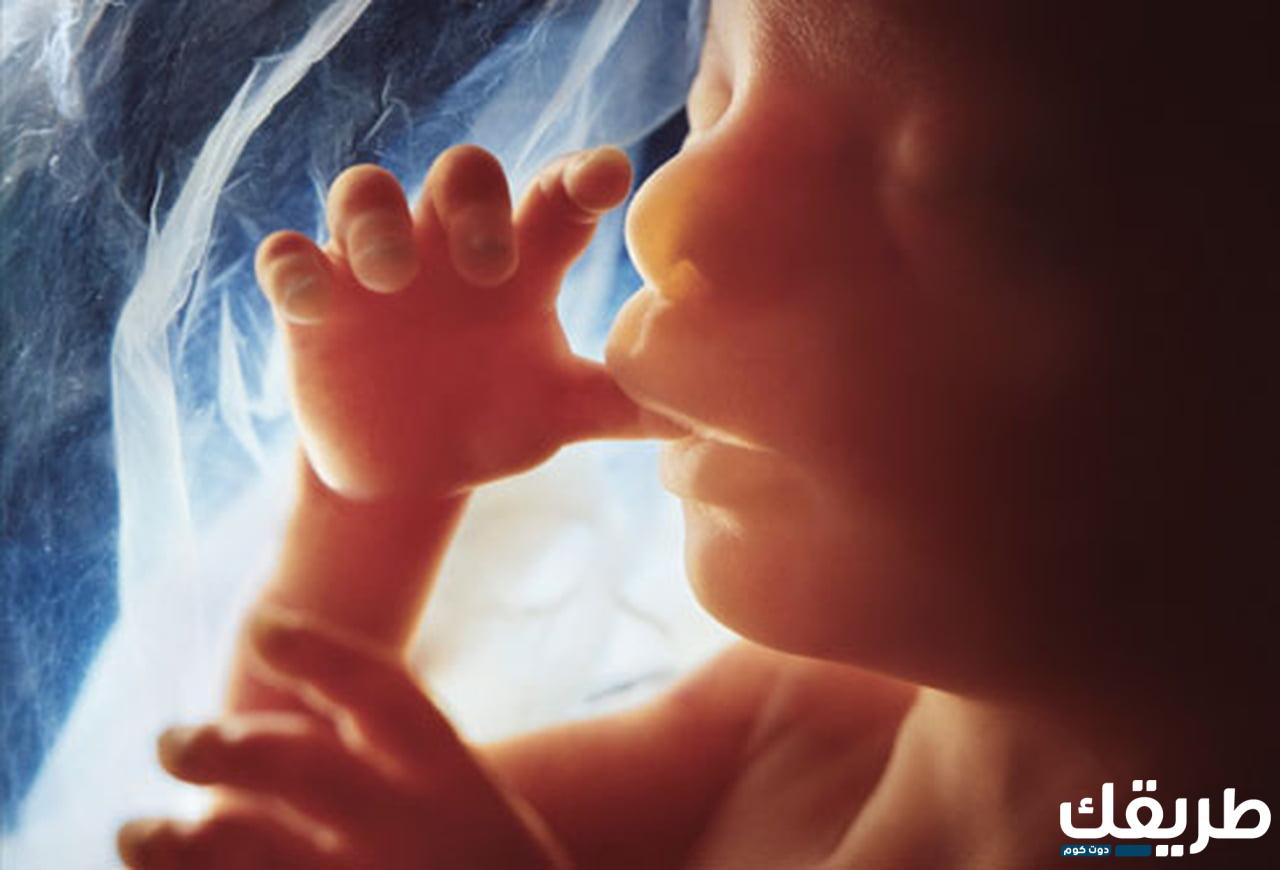 متى يطرد الرحم الجنين الميت وكيفية الحفاظ على الجنين داخل الرحم 7 988776874825029