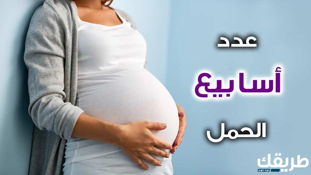 عدد أسابيع الحمل الطبيعى بأسهل الطرق 6 998773746537943