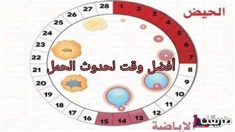 كيف أحسب أيام التبويض بعد الدورة وكم تستمر فترة التبويض 1 OIP 32 1