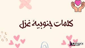 تعرف على أهم كلمات جنوبيه ومعناها 8 images 41