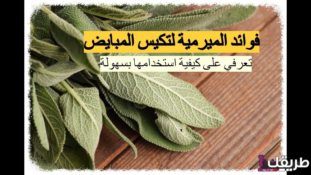 فوائد المرمرية لتكييس المبايض وإزالة الالتهابات 20 maxresdefault 3 1