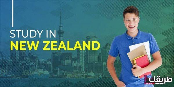 ما هي تكلفة دراسة اللغة في نيوزلندا بالأسعار والتفاصيل 3 تجربتي في دراسة اللغة في نيوزلندا بالتفصيل 600x300 1