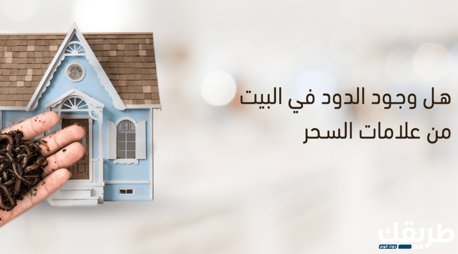 هل وجود الدود في البيت من علامات السحر 5 هل وجود الدود في البيت من علامات السحر