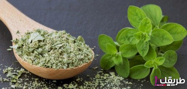 تجربتي مع تكيس المبايض بالبردقوش 6 فوائد البردقوش لتكيس المبايض