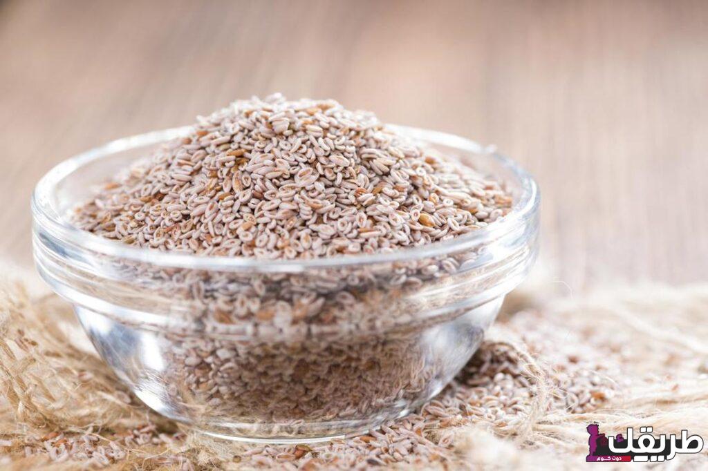 تجربتي مع عشبة الاسبغول للتنحيف وفوائدها والأثار الجانبية لها 18 ما هي عشبة الاسبغول 1024x682 1