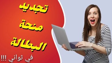 طريقة تجديد منحة البطالة في الجزائر 2024 كل 6 أشهر 2 138710342528398
