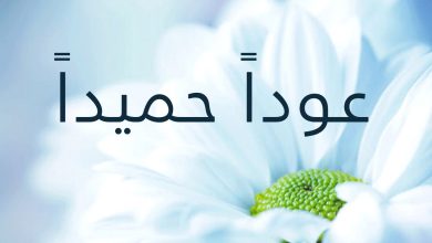 وش الرد على عودا حميدا 5 وش الرد على عودا حميدا