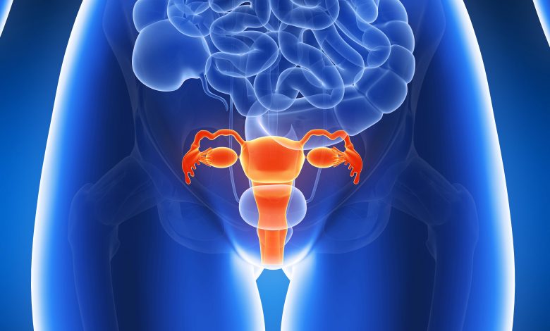 كل ما تريدي معرفتة عن ضعف المبايض من أسباب وتشخيص وطرق علاج 1 318478928575257