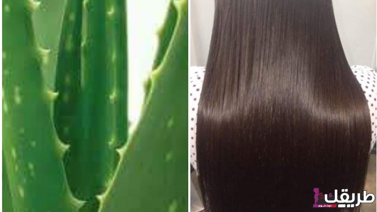 تجربتي مع الصبار لتطويل الشعر 8 334925604747683