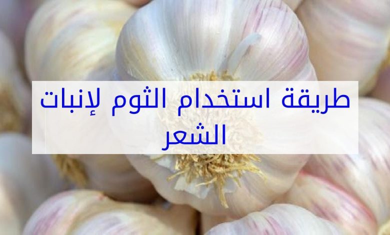 فوائد الثوم لإنبات الشعر في مقدمة الرأس للرجال والنساء 1 474400704941059