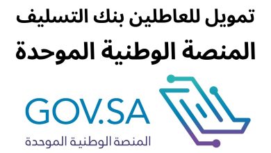 شروط تمويل النفاذ للعاطلين ومميزات التمويل النقدي من نفاذ 2 533617611507805