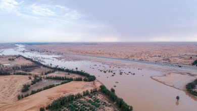 اطول وادي في المملكة العربية السعودية 3 547777912540702