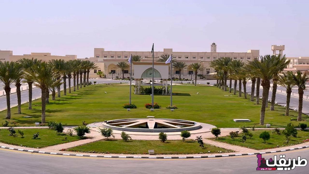 ما هي تخصصات جامعة الطائف؟ 6 827107525918800