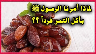 احدى ملوثات التمر الاتيه قد يكون المنزل سببا فيها وهي 6 874097167891693