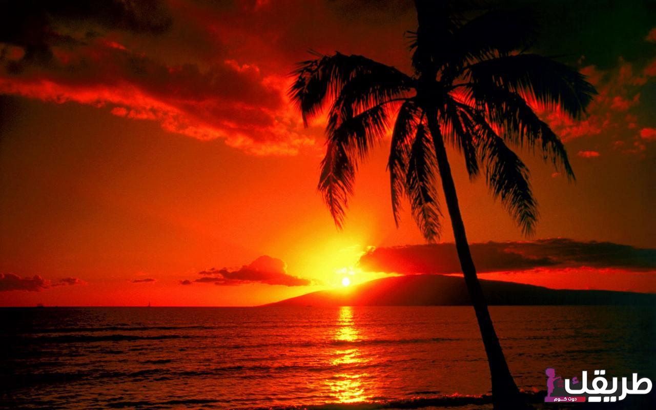 تعرف على تفسير رؤية الشمس والقمر في المنام 6 908515318480557