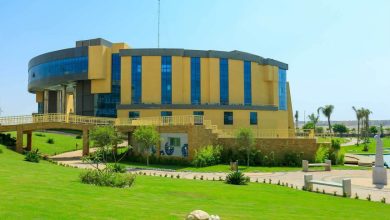 مصاريف جامعة مصر الدولية 2024-2025 5 مصاريف جامعة مصر الدولية 2024-2025