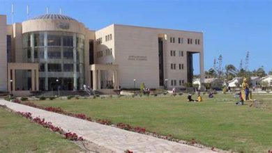 تنسيق كلية الصيدلة جامعة سيناء 2024 2 تنسيق كلية الصيدلة جامعة سيناء 2024