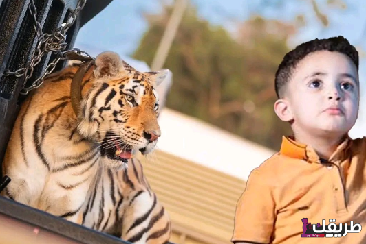 من هو الطفل سالم السعيطي ويكيبيديا 5 سالم السعيطي