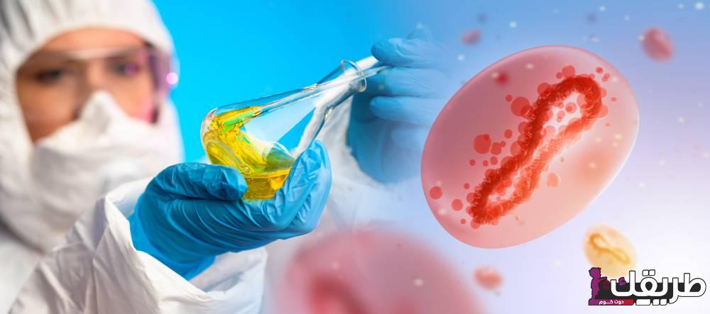 ما هو مرض جدري القرود ما طبيعته وكيف يمكن الوقاية منه؟ 7 ما هو مرض جدري القرود ما طبيعته وكيف يمكن الوقاية منه؟